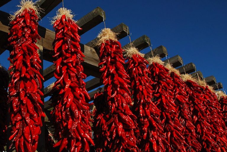 If There Were a Chile to Taste Like Sunshine