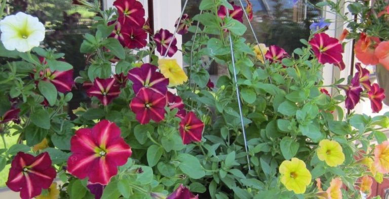 Before I Write the Letter Tending to Your Grief